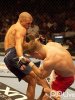 UFC格斗的图片