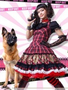 刑警犬子/小汪刑事/小汪刑警